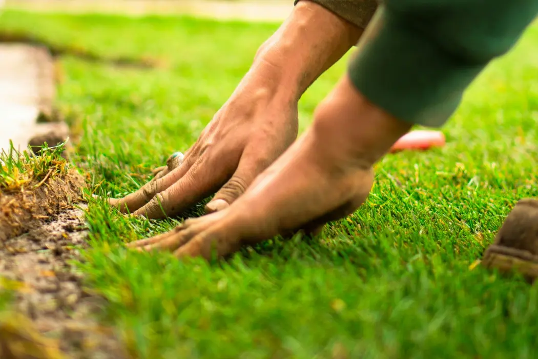 How to Prepare Your Soil for Laying Turf