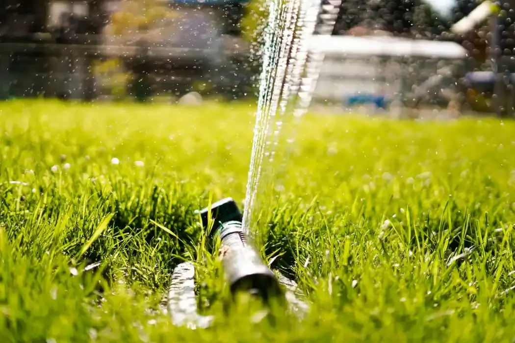 Why Consistent Watering is Critical for New Turf Growth Why Consistent Watering is Critical for New Turf Growth