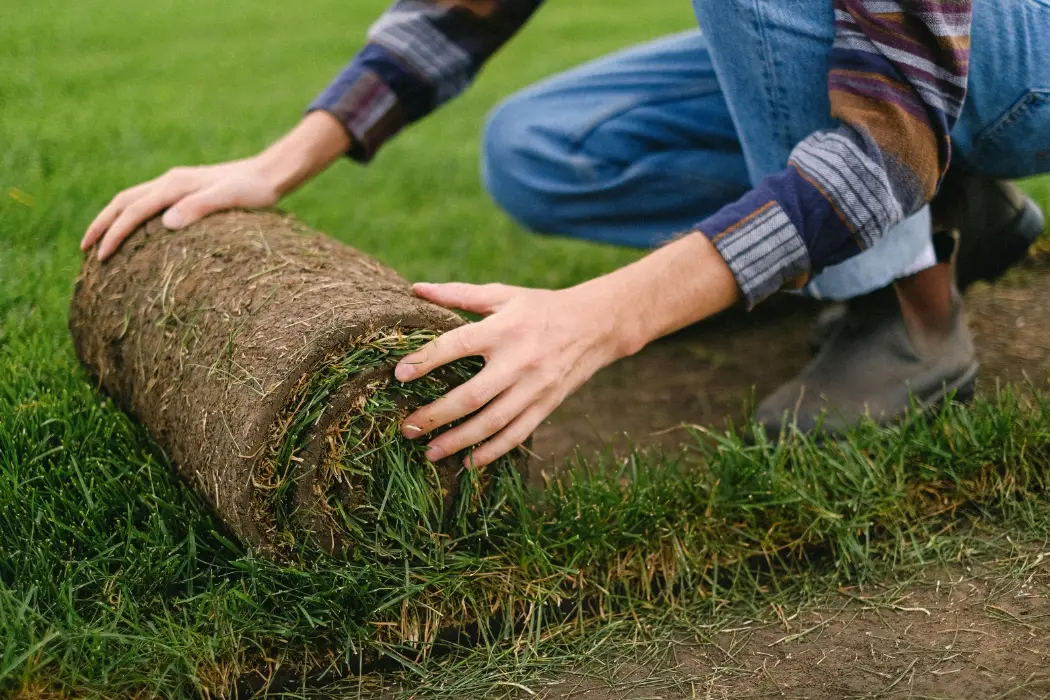 How to Lay Turf Properly