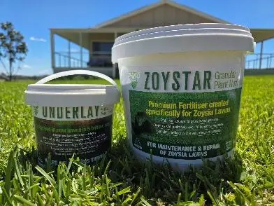 Zoysia Essential Starter Pack<br>Small