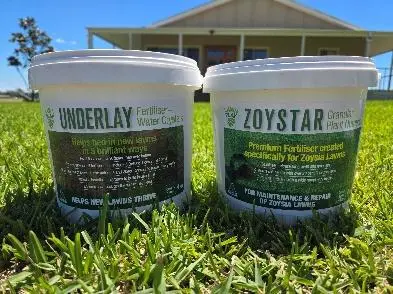 Zoysia Essential Starter Pack Large