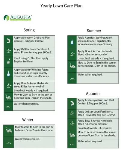 3. Augusta Zoysia thumbnail