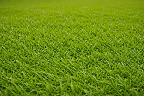 IronCutter Elite Hybrid Bermuda thumbnail